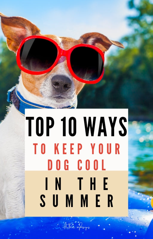 Top 10 Ways to Keep your Dog Cool in the Summer