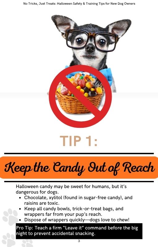 No Tricks, Just Treats: Halloween Safety & Training Tips for New Dog Owners (Special Edition)