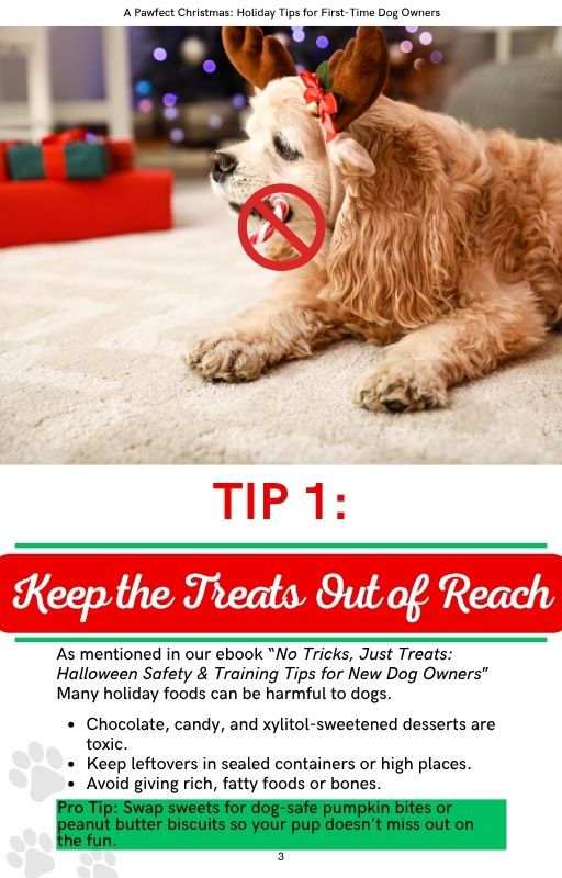 A Pawfect Christmas: Holiday Tips for First-Time Dog Owners (Special Edition)