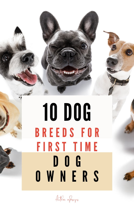 10 Dog Breeds for First Time Dog Owners