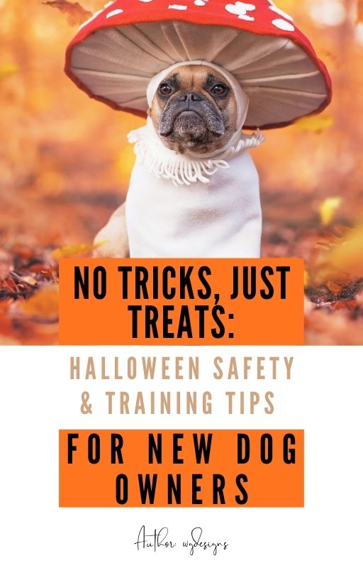 No Tricks, Just Treats: Halloween Safety & Training Tips for New Dog Owners (Special Edition)