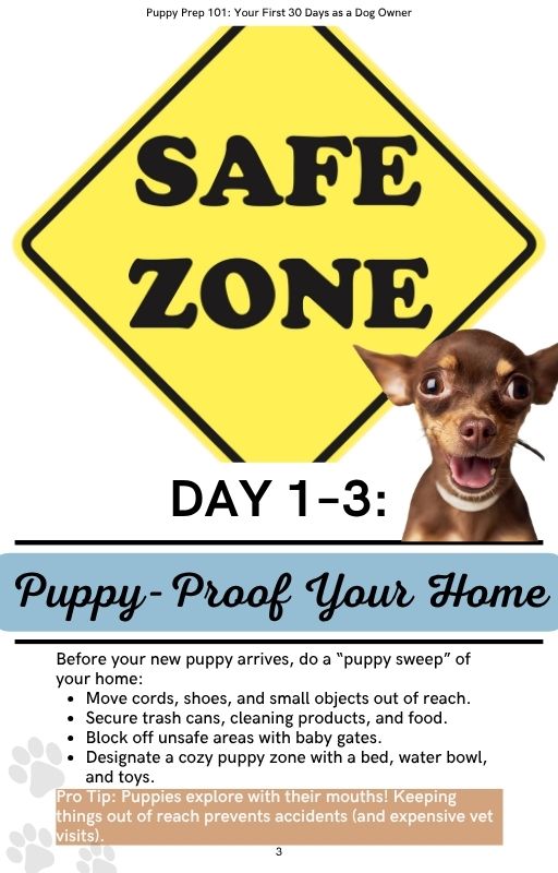 Puppy Prep 101: Your First 30 Days as a Dog Owner