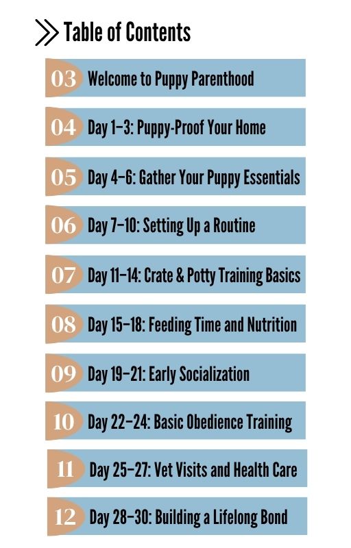 Puppy Prep 101: Your First 30 Days as a Dog Owner