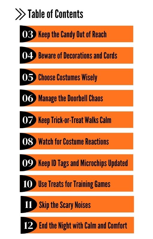 No Tricks, Just Treats: Halloween Safety & Training Tips for New Dog Owners (Special Edition)