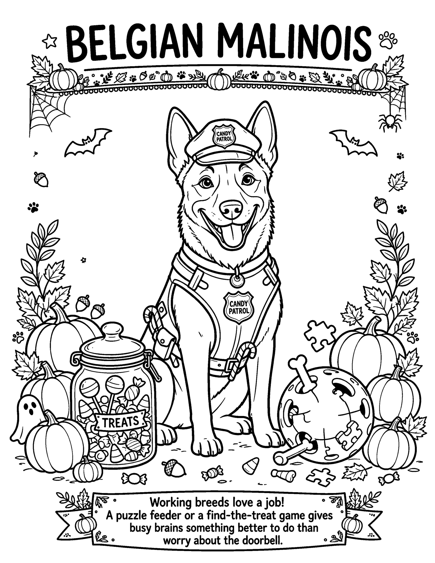 Preview page: Belgian Malinois on Candy Patrol